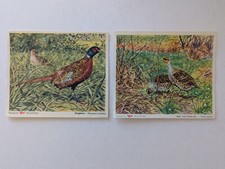 2 Stück Margarine Voss Kunstbilder Ringfasan - Rebhuhn oder Feldhuhn