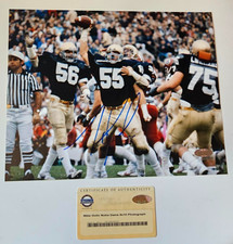 Mike Golic Notre Dame Autographed Photo Steiner Hand Signed Collectibles