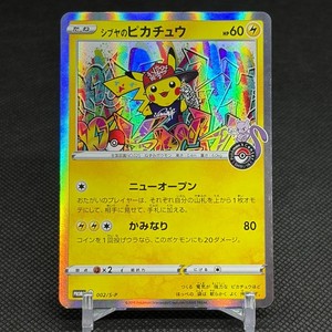 Shibuya Pikachu | eBay