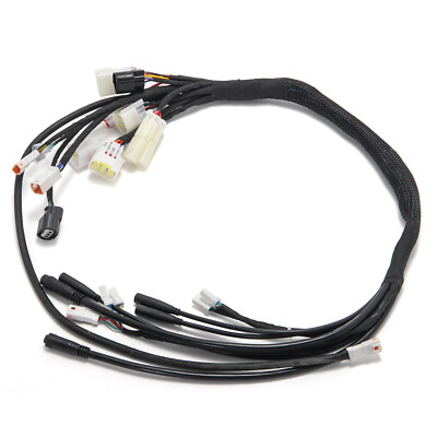 Full Main Verdrahtung Wire Assy Harness für Talaria XXX Electric Offroad Bike