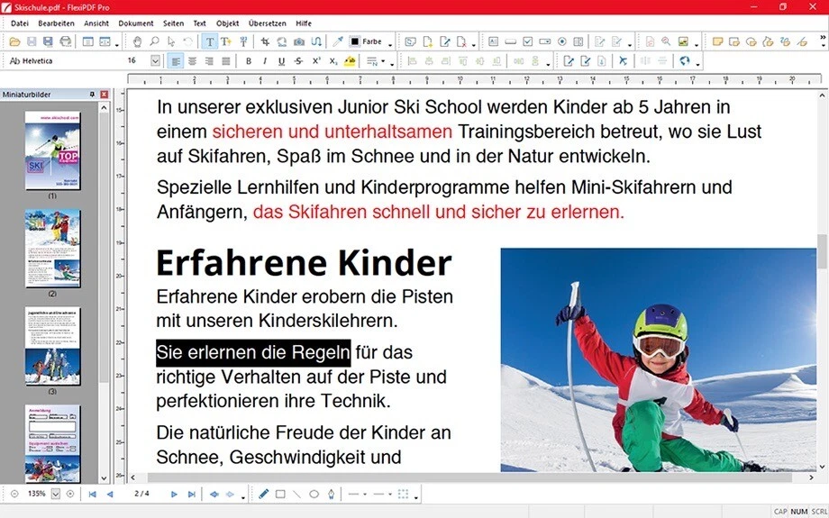 SoftMaker Flexi PDF 2019 - Home & Business für Windows - 3 Benutzer - ESD - Bild 2 von 4