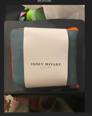 Issey Miyake Backpack Parfums Gray Straps Casual Book Bag | eBay display picture 1