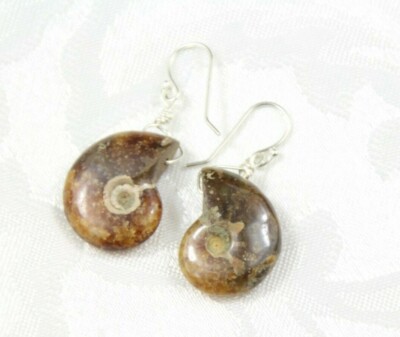 Ammonite Fossil Earrings Snail Gemstone 925 Sterling Silver Wire Wrap 1 1/2''