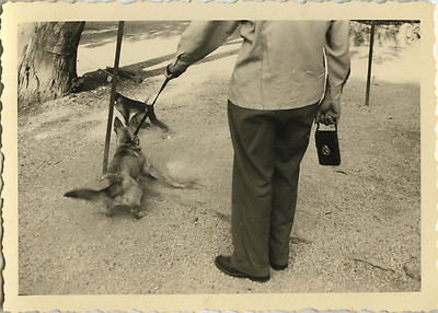 ANTIQUE PHOTO - VINTAGE SNAPSHOT - ANIMAL DOG FUNNY MONKEY - DOG MONKEY FUNNY