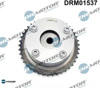 Dr.Motor Automotive DRM01537 Nockenwellenversteller FüR Hyundai FüR Kia
