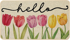 Spring Floral Tulips Doormat Outdoor Outside Doormat Door Mat Low-Profile Non
