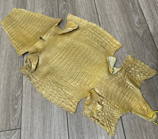Gold Caiman Crocodile belly Hide Leather Skin alligator real Croc yellow 493