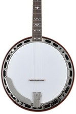 Recording King Madison Mahogany RK-R36 Resonator Banjo with Tone Ring - Brown