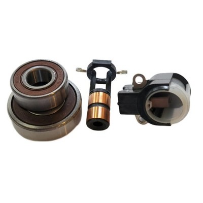 Alternator Repair Kit 2005 2006 Volvo S40 V50 C70; Bearings Brushes SlipRing