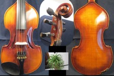 Baroque style SONG Brand Master 5 strings violin 4/4 one-piece flamed back 13123