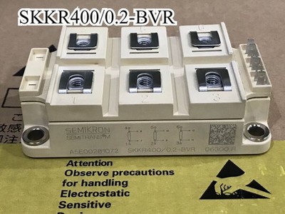 1PCS NEW SKKR400/0.2-BVR Power Supply Module Fast Shipping *cc