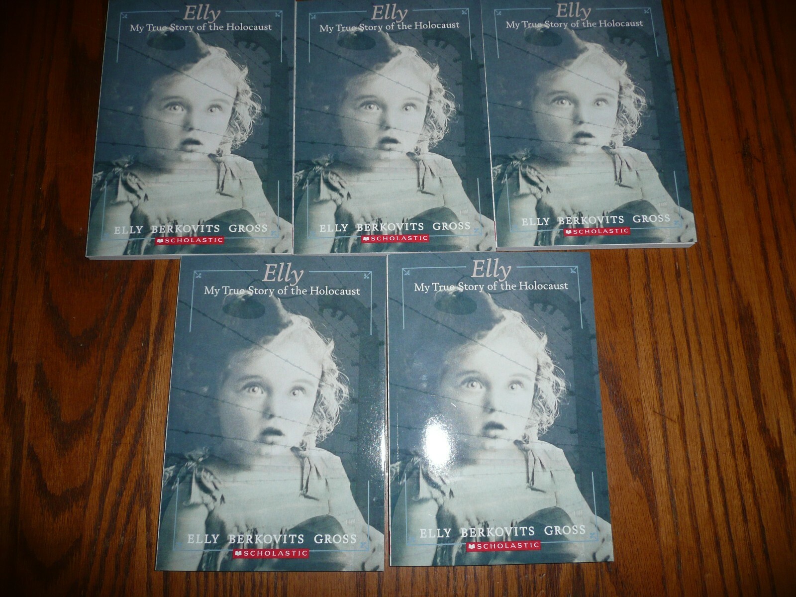 NEW Lot 5 copies ELLY My True Story of the Holocaust GUIDED READING(02)