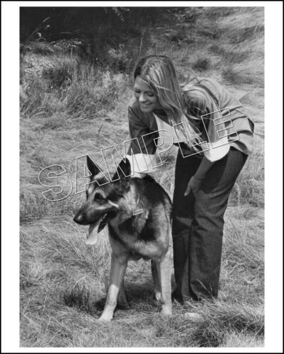 BIONIC WOMAN 8X10 Photo 301-37 LINDSAY WAGNER Jaime Sommers & MAX The Bionic Dog - Picture 2 of 4