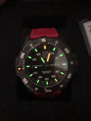 luminox carbon seal 3875