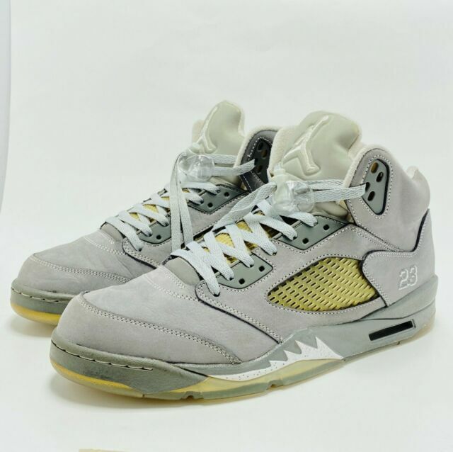 wolf grey 5 for sale