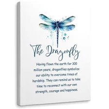 WODMIS Inspirational Dragonfly Wall Decor Framed Canvas Wall Art, Watercolor ...