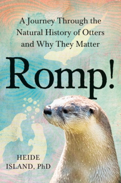 Romp