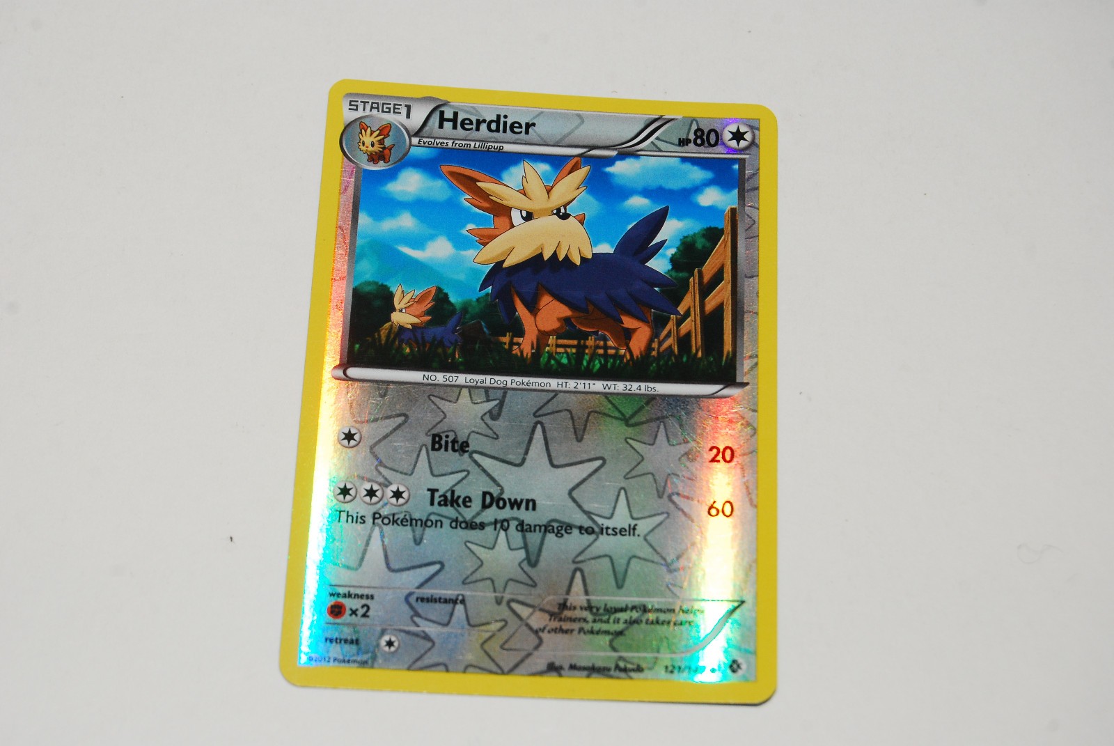 HERDIER 121/149 Reverse Holo 2012 Boundaries Crossed Pokemon Card - LP