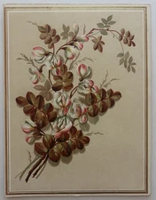 Antique Embossed Trade Card Pink White Flowering Clover Victorian Lithograph