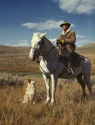 Shepherd with his horse dog on Gravelly Range Madison County Montana Old Photo 1