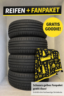 4x Sommerreifen (1 Satz) 235/55 R18 100H NEU GRATIS BVB FANDECKE 2355518 100H