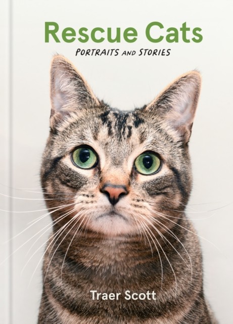 Rescue Cats Portraits and Stories by Traer Scott (Hardback Book)