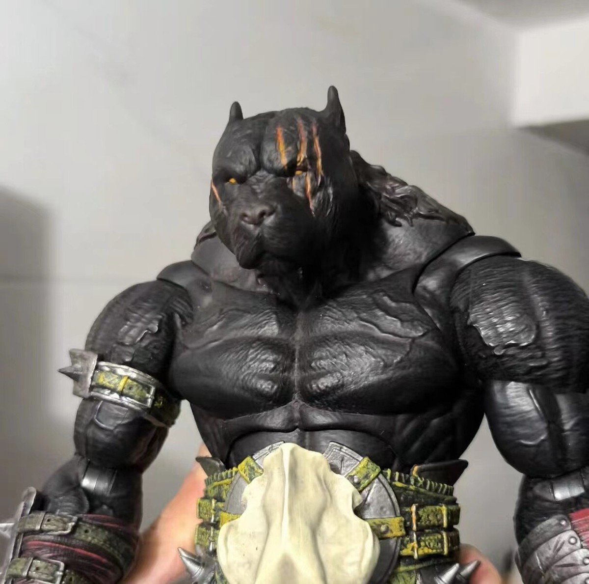 9in Xesray Studios Fit Head Combatants Fight For Glor Pit Bull Dog