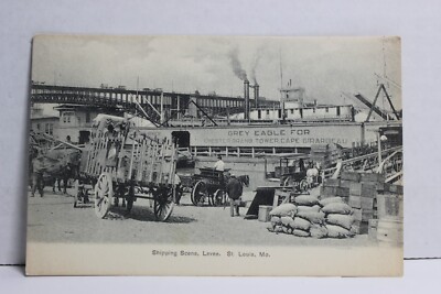 Shipping Scene, Levee, St. Louis Missouri UDB