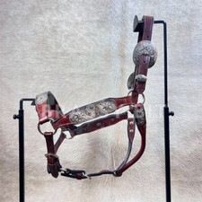 Monologue d’un chien bien coiffé » spectacle de marionnettes