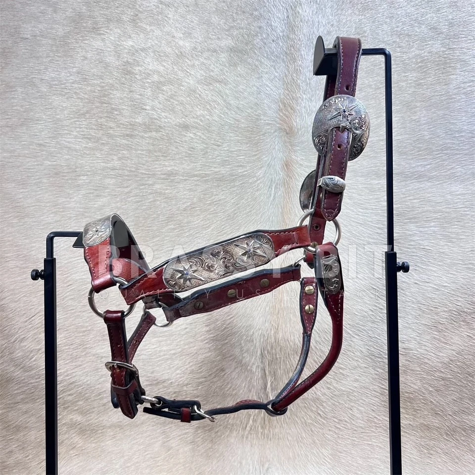 Halter de exhibición plateado estilo Congreso Dale Chávez con plomo Foto 2 de 4