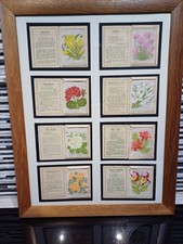 Kensistas Flower Cigarette Cards In Oak Frames X2