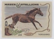 2019 Topps Allen & Ginter Mares and Stallions Thoroughbred Horse #MS-3 2o7