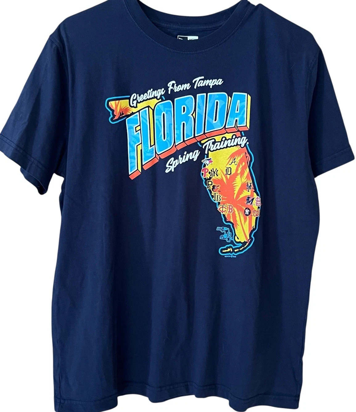 Men’s New Era MLB Licensed 2020 Baseball Florida Spring Training Tee/Large