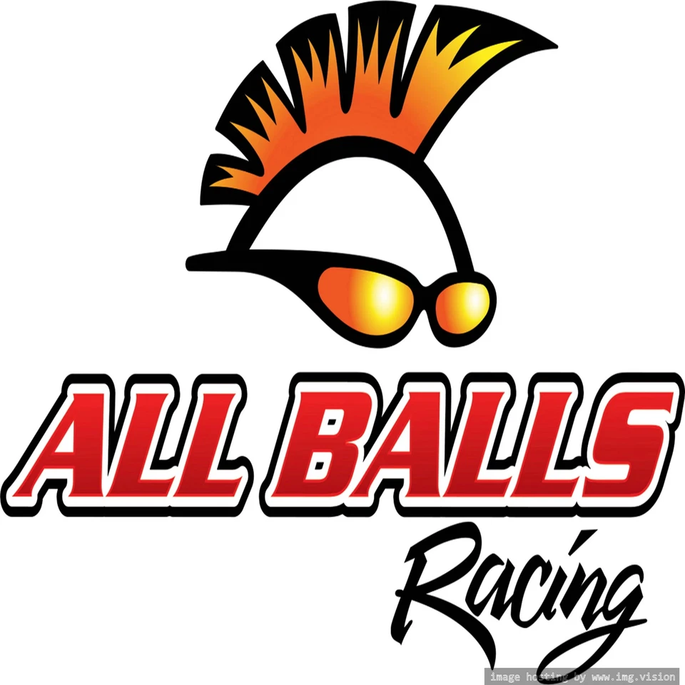 Front Wheel Bearings Ninja ZX11 ZZR1200 ZX7RR ZX9R Kawasaki ALL BALLS 25-1102 - Image 2 of 4