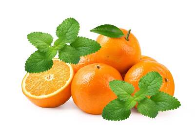 25 Orange MANDARINA BALM Mandarin Lemon Balm Melissa Officinalis