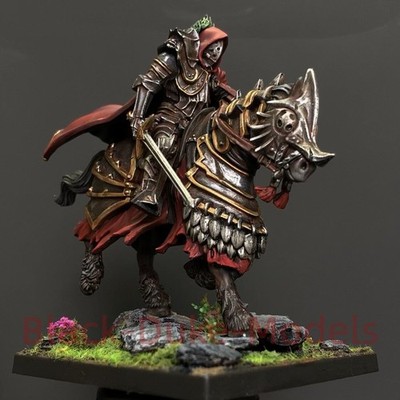 Presale Conquest Hundred Kingdoms Priory Commander Character Painted Commission