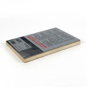 Used AZEL Panzer Dragoon RPG Guide Book Sega Saturn SS First Edition Japanese