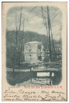 S7370-162/greetings from Freienwalde Papenmühle postcard 1903