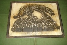 1920 UNIVERSITY OF PITTSBURGH 