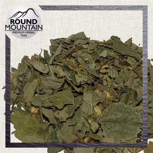 Mexican Dream Herb Premium Herbal Tea  • Leaves of the Gods • Calea Zacatechichi