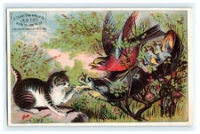 A.S.T.C. Black Tip - Cat Fighting Birds in Shoe - Preble Brothers - Fall River 