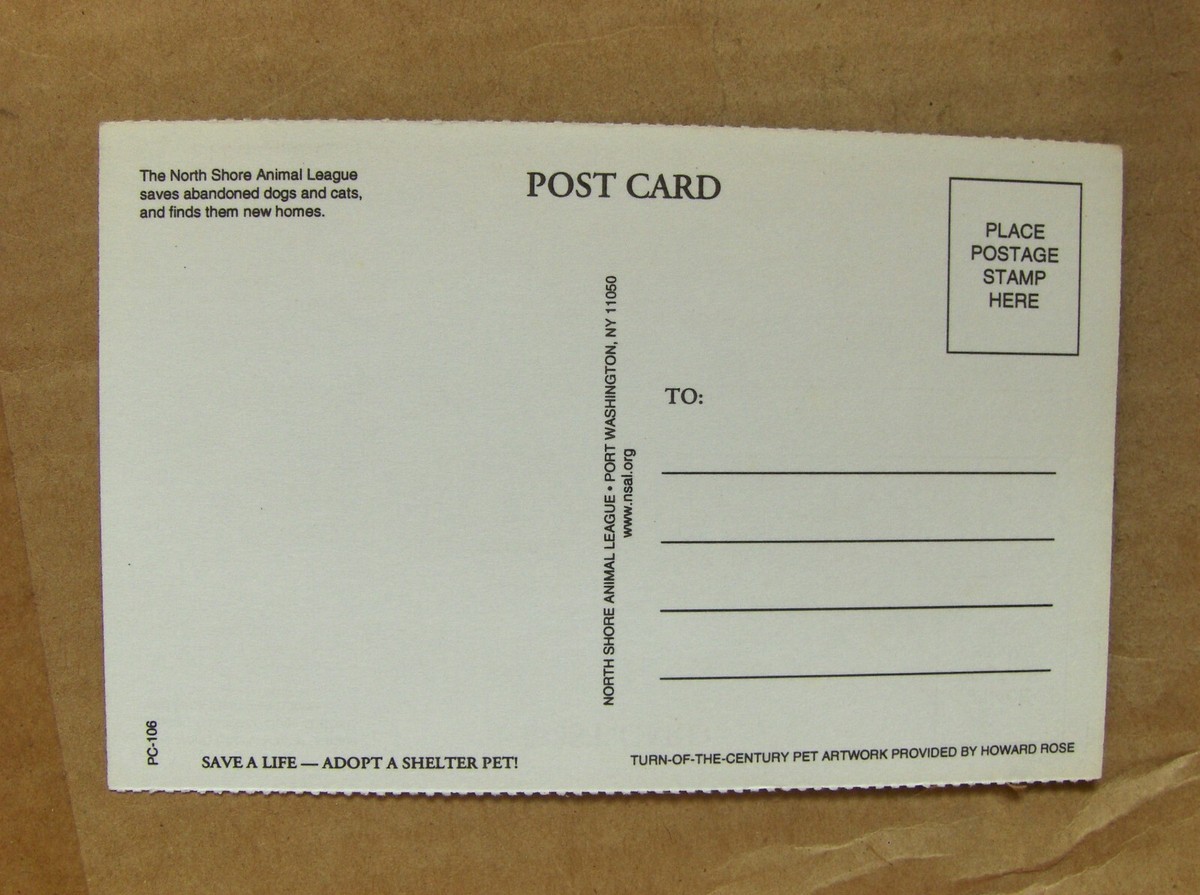 Postcard North Shore Animal League with dog unposted UK