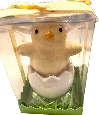 Salt & Pepper Baby Chick Easter Chicken In Shell Hatching NEW in Box - Cute! USA