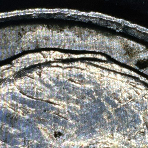 RARE - Major Errors - 1998-P Roosevelt Dime DDO/DDR/Grease & Laminated Error - Picture 11 of 23