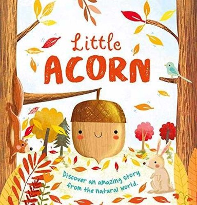 Little Acorn - Board book, by IglooBooks - Very Good q