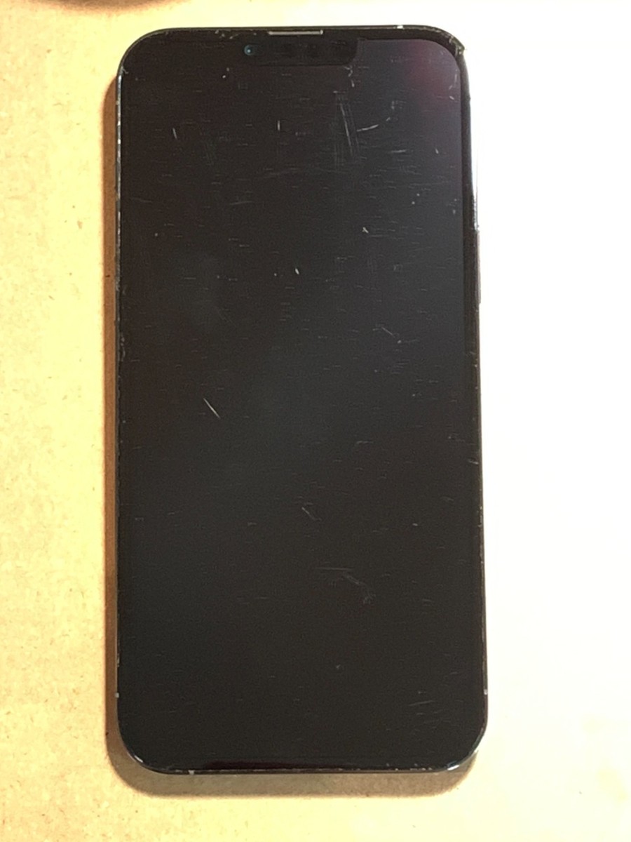 Apple iPhone 13 Pro Max 1TB Sierra blue Unlocked A2484 READ | eBay