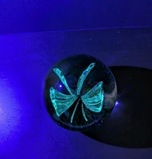 UV Glow In The Dark Dynasty Gallery Art Glass Small Paperweight Blue Butterfly