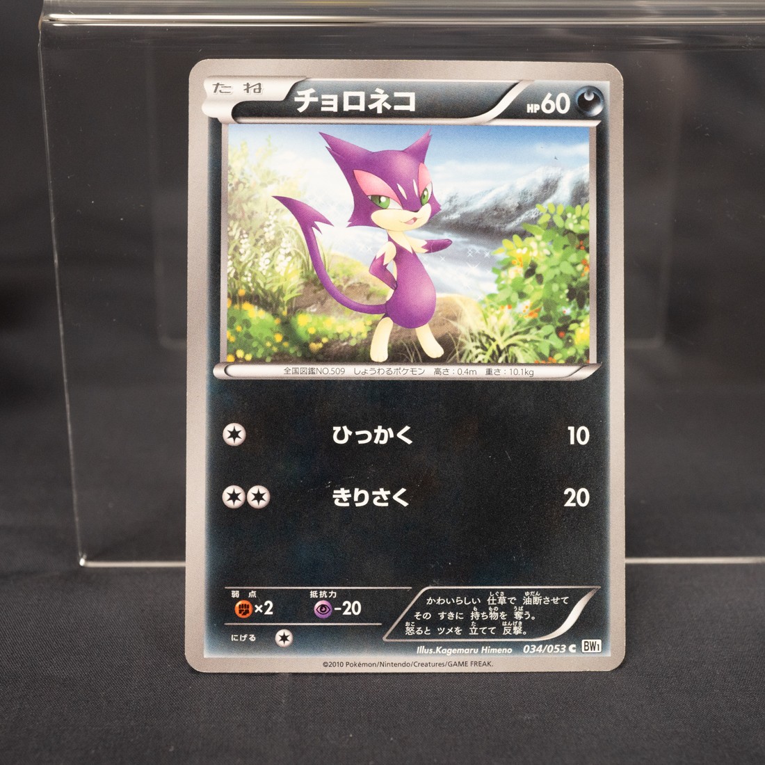 [MP] Purrloin 034/053 BW  Pokemon Card TCG Japanese