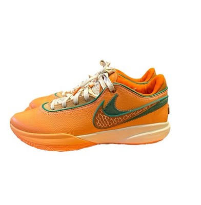 E102 Mens Size 10.5 Nike LeBron 20 Florida A&M University x A.P.B. FN8263-800