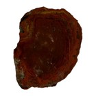 UTAH YELLOW CAT AGATE SLAB ~ 127 grams / rough jasper mineral rock cab — photo 5